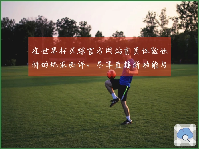 在世界杯买球官方网站首页体验独特的玩家测评，尽享直播新功能与使用心得分享