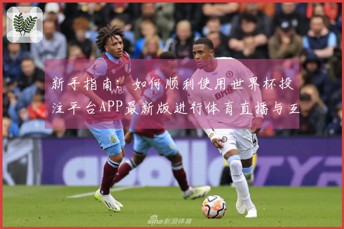 新手指南：如何顺利使用世界杯投注平台APP最新版进行体育直播与互动