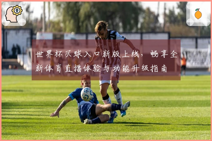 世界杯买球入口新版上线，畅享全新体育直播体验与功能升级指南